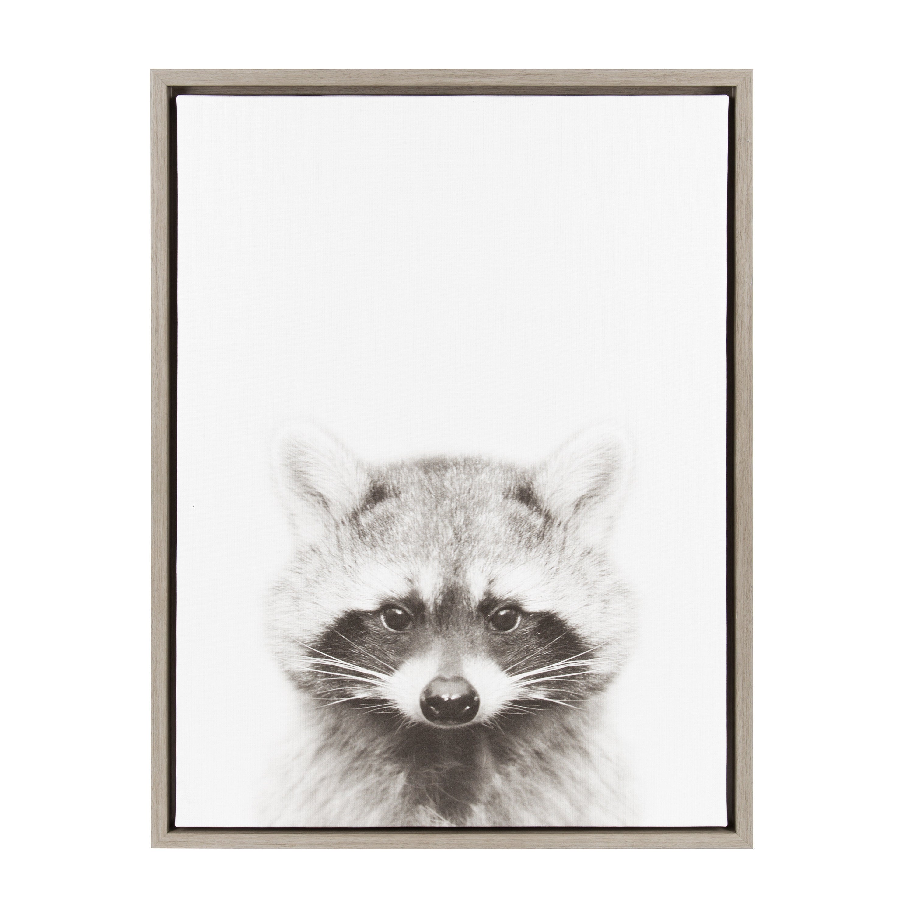 Sylvie Raccoon Framed Canvas by Simon Te Tai