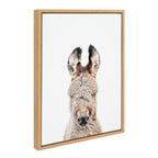 Sylvie Animal Studio Burro Portrait Framed Canvas by Amy Peterson Art Studio