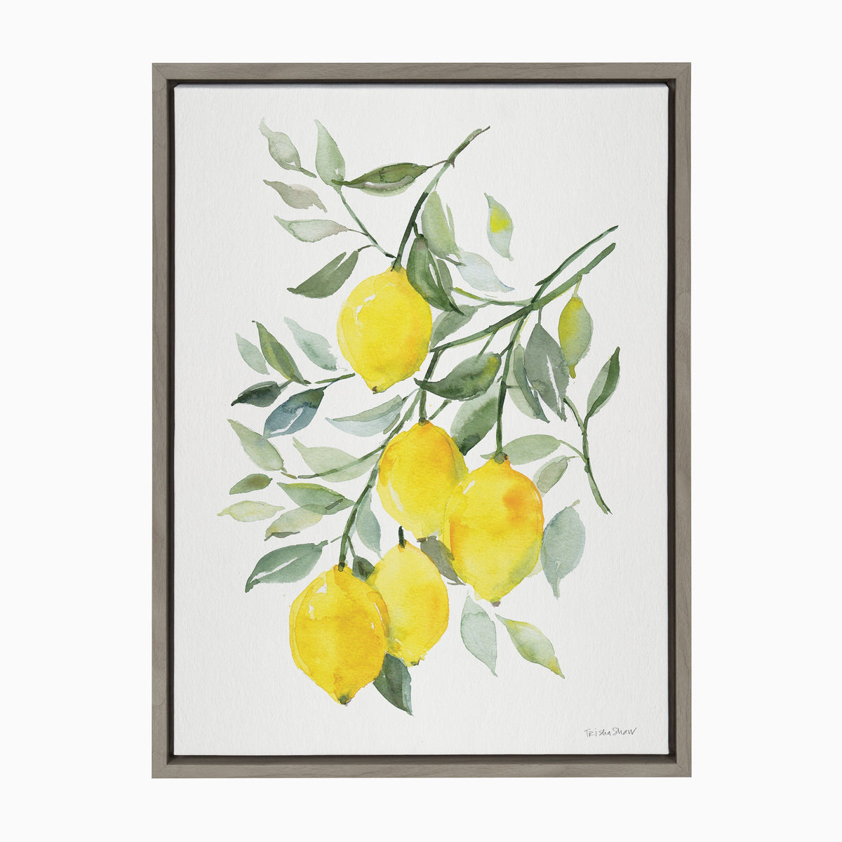 Sylvie Lemon Citrus Framed Canvas by Patricia Shaw