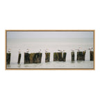 Sylvie Isla Holbox No 13 Framed Canvas by Crystal Lynn Collins