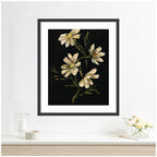 Framed Art Moody Floral 4 by Annie Quigley