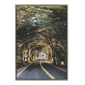 Sylvie Road Tripping Framed Canvas by Patricia Hasz