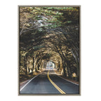 Sylvie Road Tripping Framed Canvas by Patricia Hasz