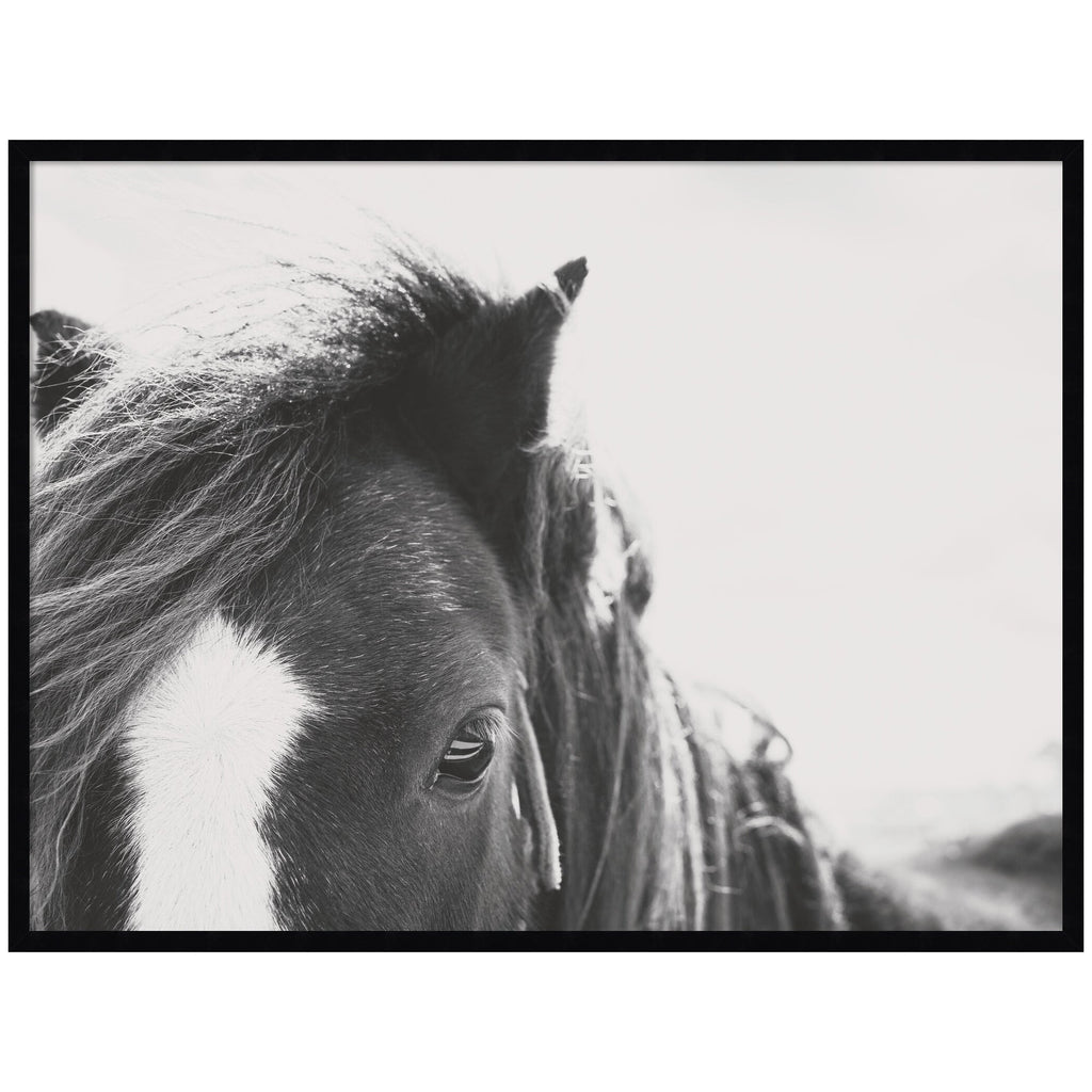AA Noble by Alicia Abla Framed Wall Art Print