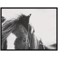 AA Noble by Alicia Abla Framed Wall Art Print