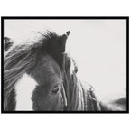 AA Noble by Alicia Abla Framed Wall Art Print