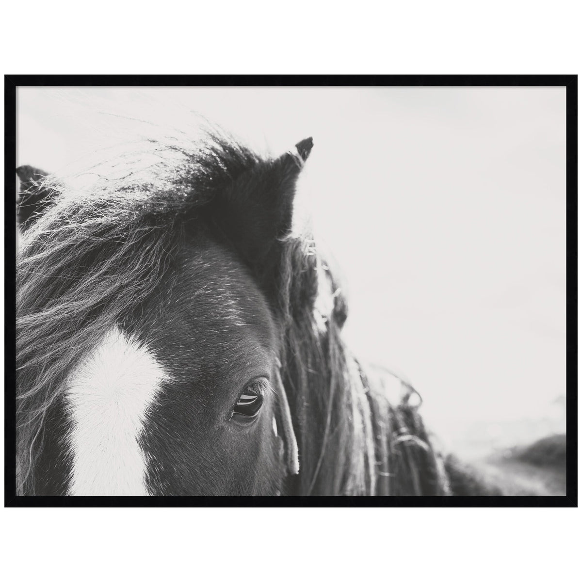 AA Noble by Alicia Abla Framed Wall Art Print