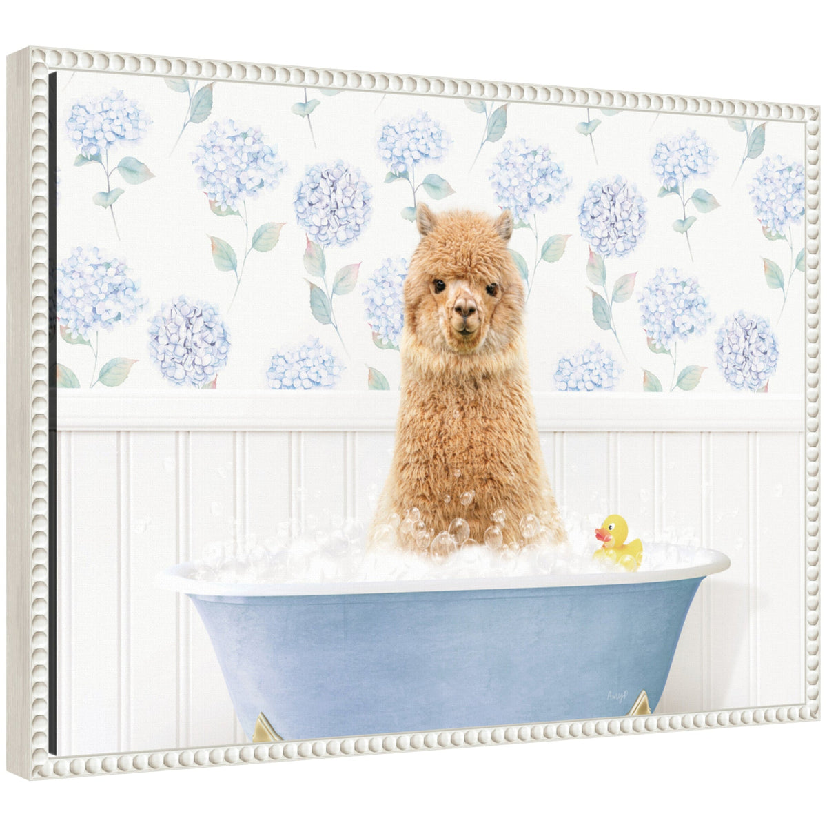 Sylvie Baby Alpaca in Hydrangea Bubble Bathtub Framed Canvas by Amy Peterson