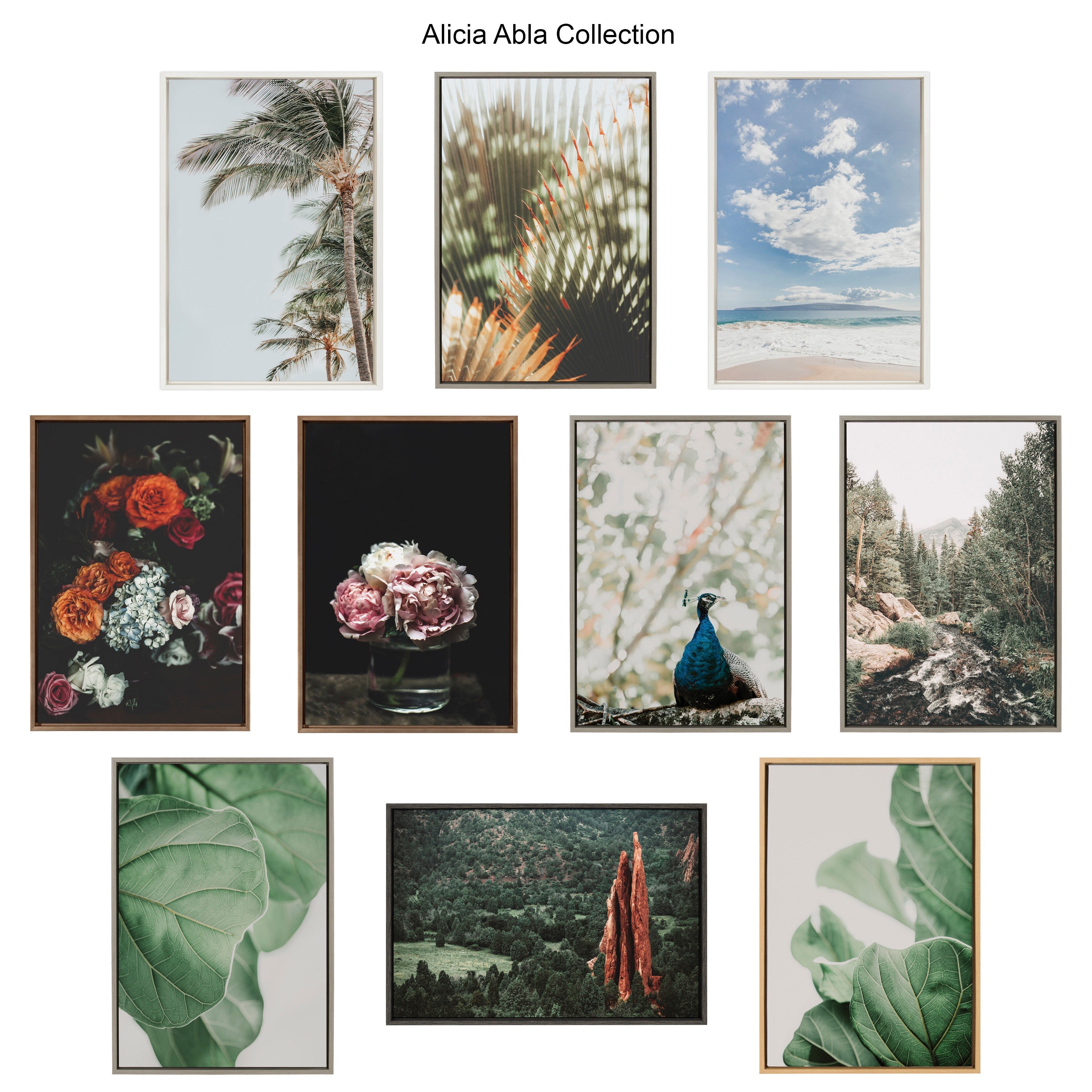 Sylvie Plant Study 7 Framed Canvas by Alicia Abla