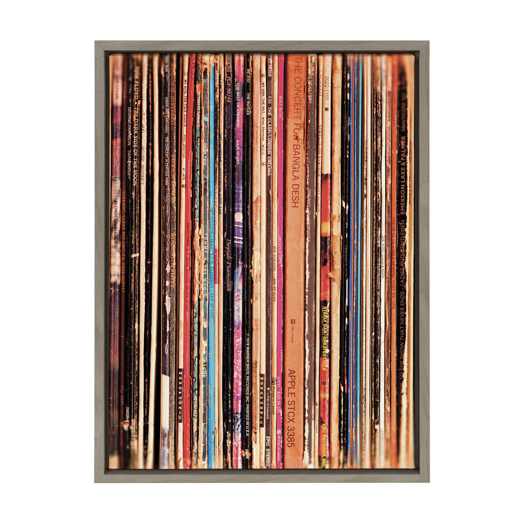 Sylvie Records Framed Canvas by Robert Cadloff of Bomobob