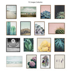 Blake Senecio 1 Framed Printed Glass by Emiko and Mark Franzen of F2Images