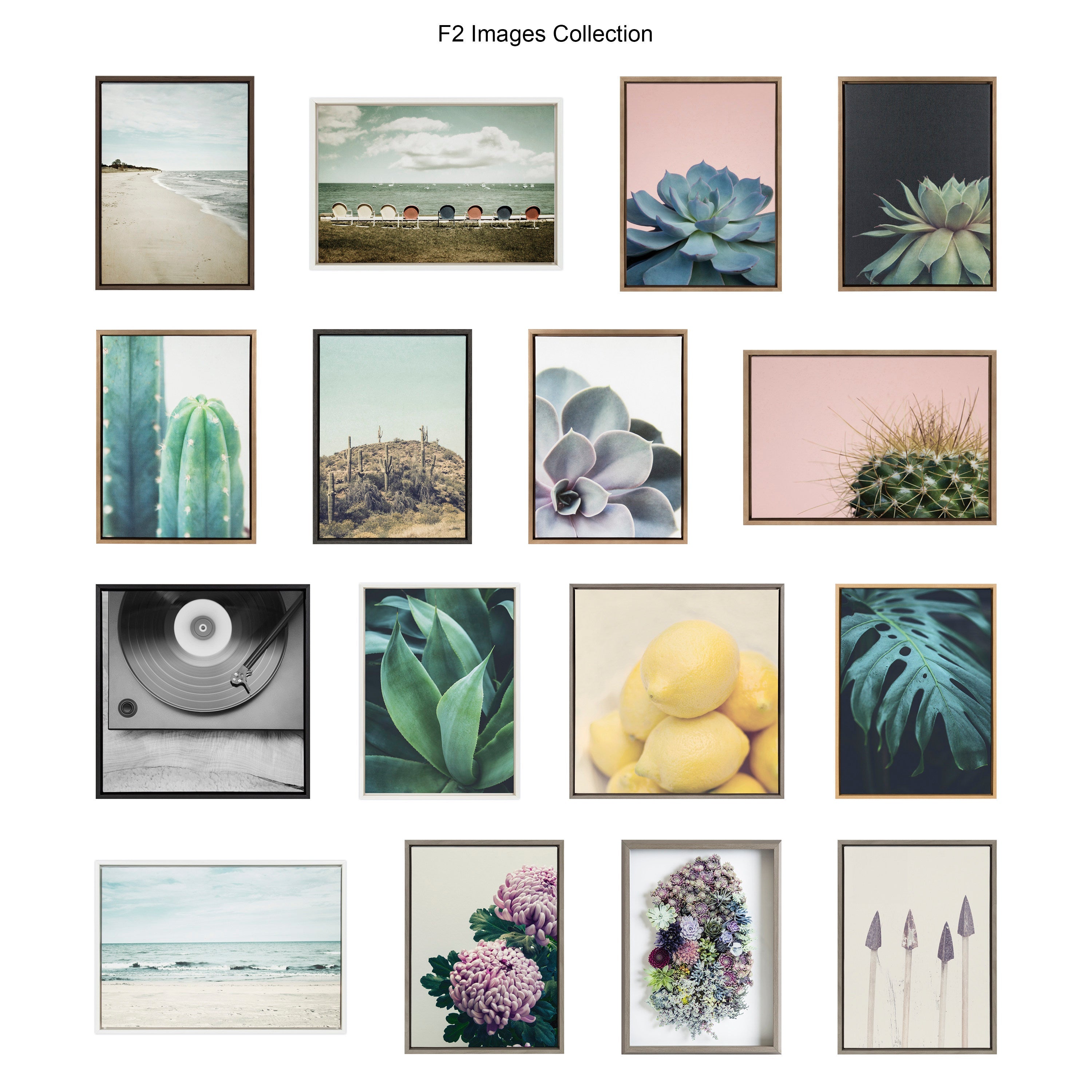 Blake Senecio 1 Framed Printed Glass by Emiko and Mark Franzen of F2Images