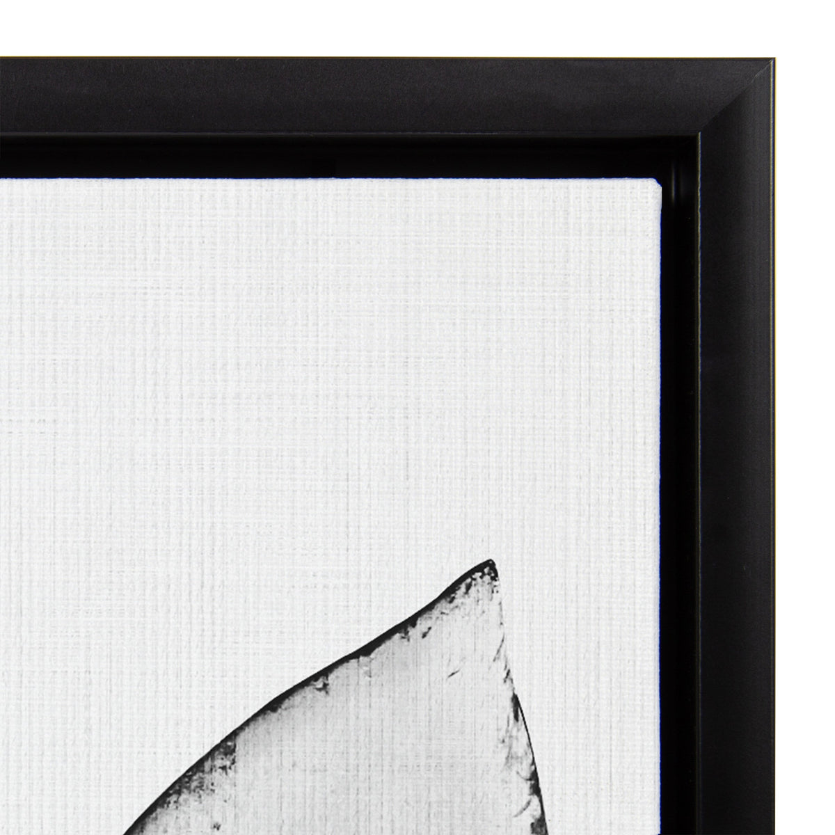 Sylvie Succulent Framed Canvas by Simon Te of Tai Prints