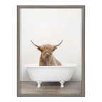 Blake Highland Cow in Tub Color Framed Printed Glass by Amy Peterson Art Studio