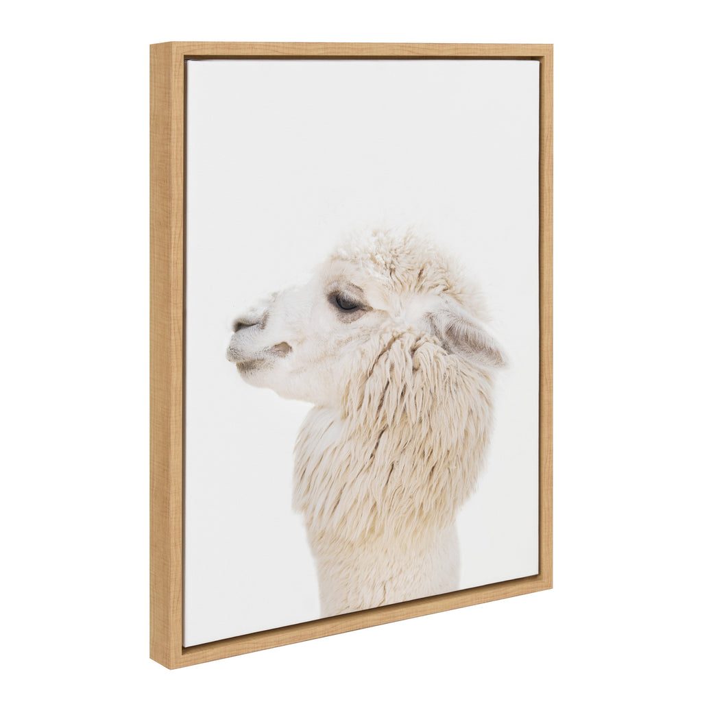 Sylvie Animal Studio Alpaca Profile Framed Canvas by Amy Peterson Art Studio