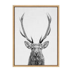 Sylvie The Red Deer BW Framed Canvas by Simon Te of Tai Prints