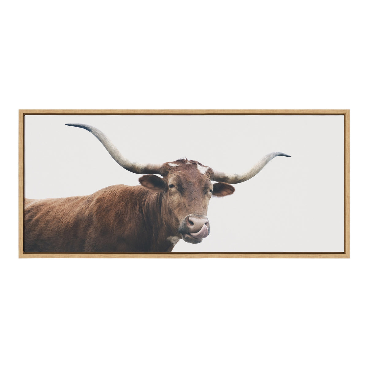 Sylvie Texas Longhorn Cow Lick Framed Canvas by The Creative Bunch Studio