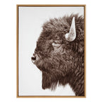 Sylvie Bison Profile Framed Canvas by Amy Peterson Art Studio