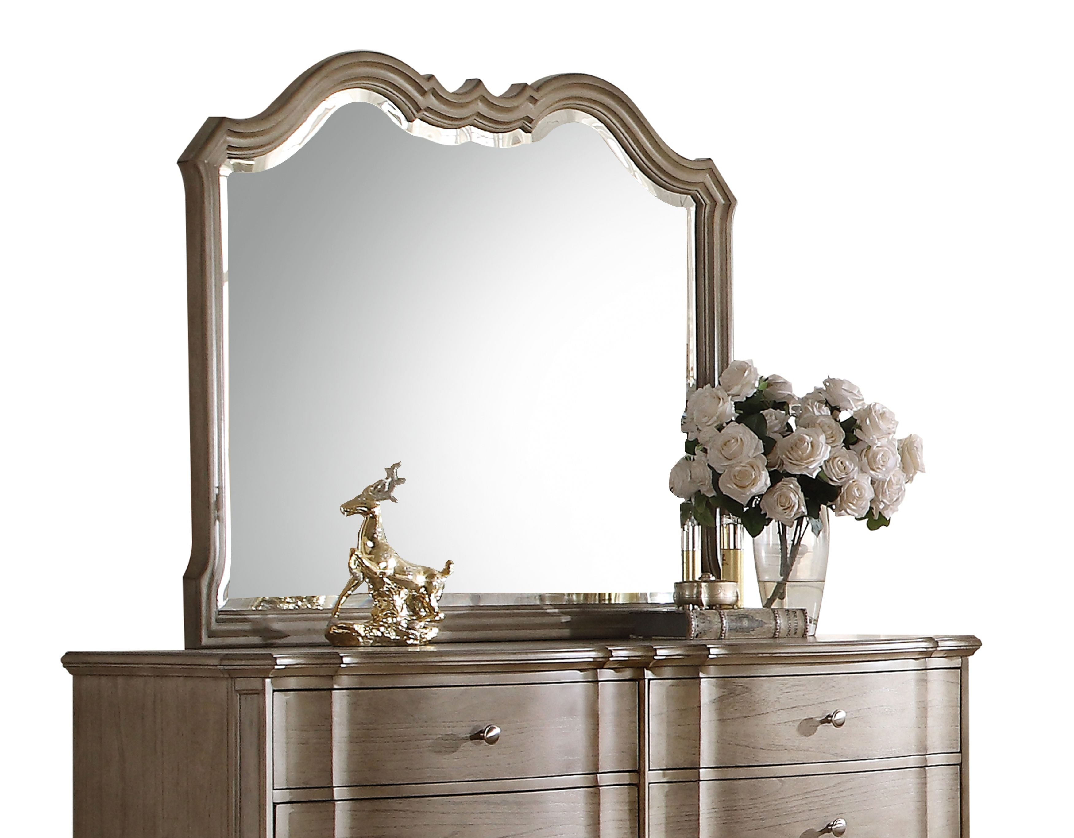 Acme Chelmsford Mirror - 26054 - Antique Taupe