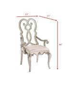 Acme Esteban Velvet Upholstered Arm Chair in Ivory