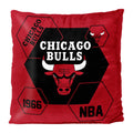 Bulls OFFIcIAL NBA connector Double Sided Velvet Pillow 16 x 16(D0102H94DQW)