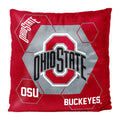 Ohio State OFFIcIAL NHL connector Double Sided Velvet Pillow 16 x 16(D0102HARZHU)