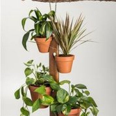 4 Pot Hanging Plant Holder(D0102HPWUAY.)