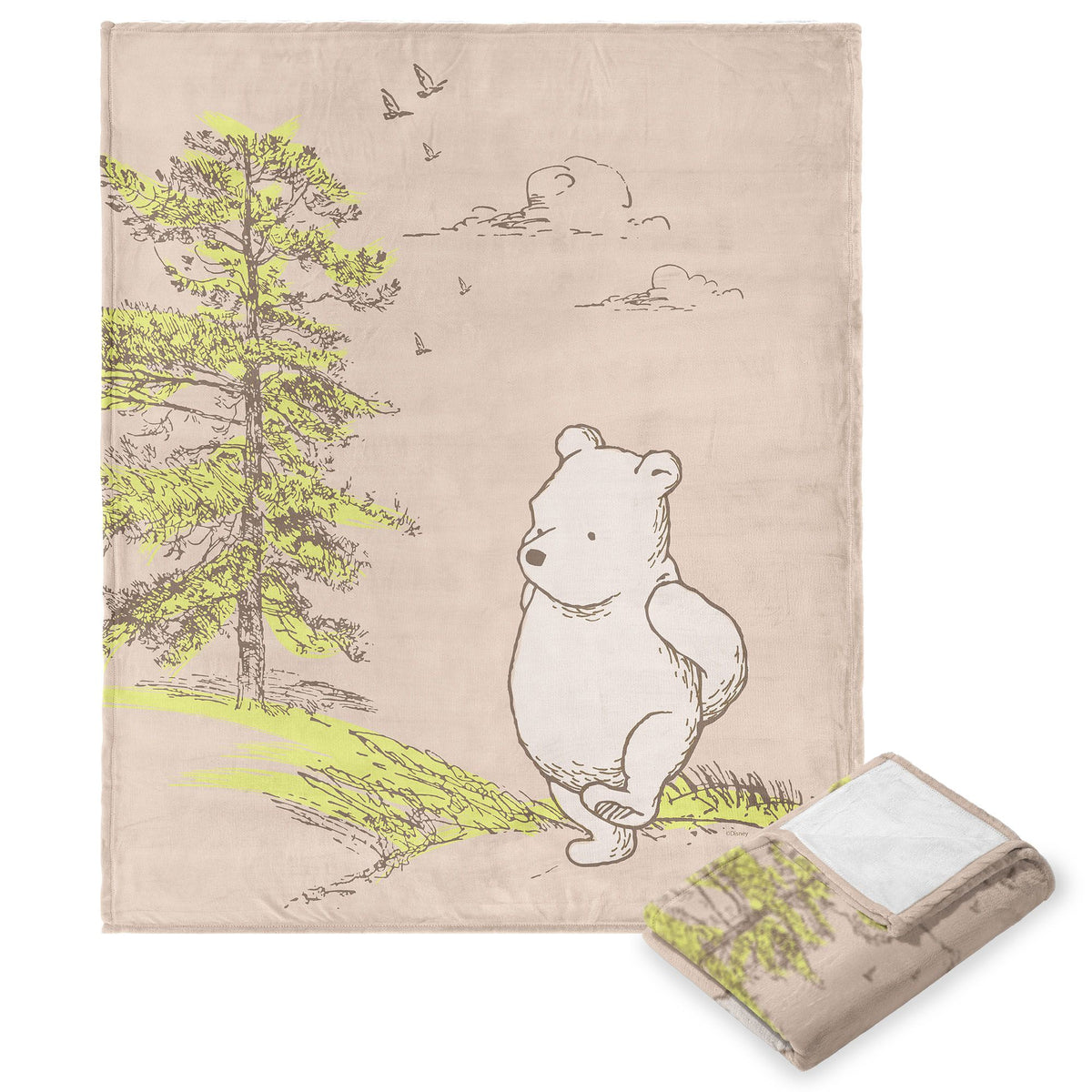 Disney Winnie The Pooh Edward Bear Silk Touch Throw Blanket 40X60 Inches
