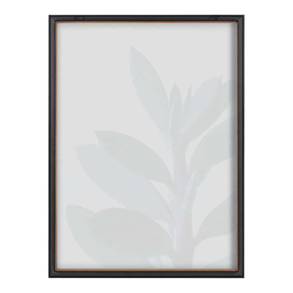 Blake Senecio 1 Framed Printed Glass by Emiko and Mark Franzen of F2Images