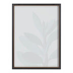 Blake Senecio 1 Framed Printed Glass by Emiko and Mark Franzen of F2Images