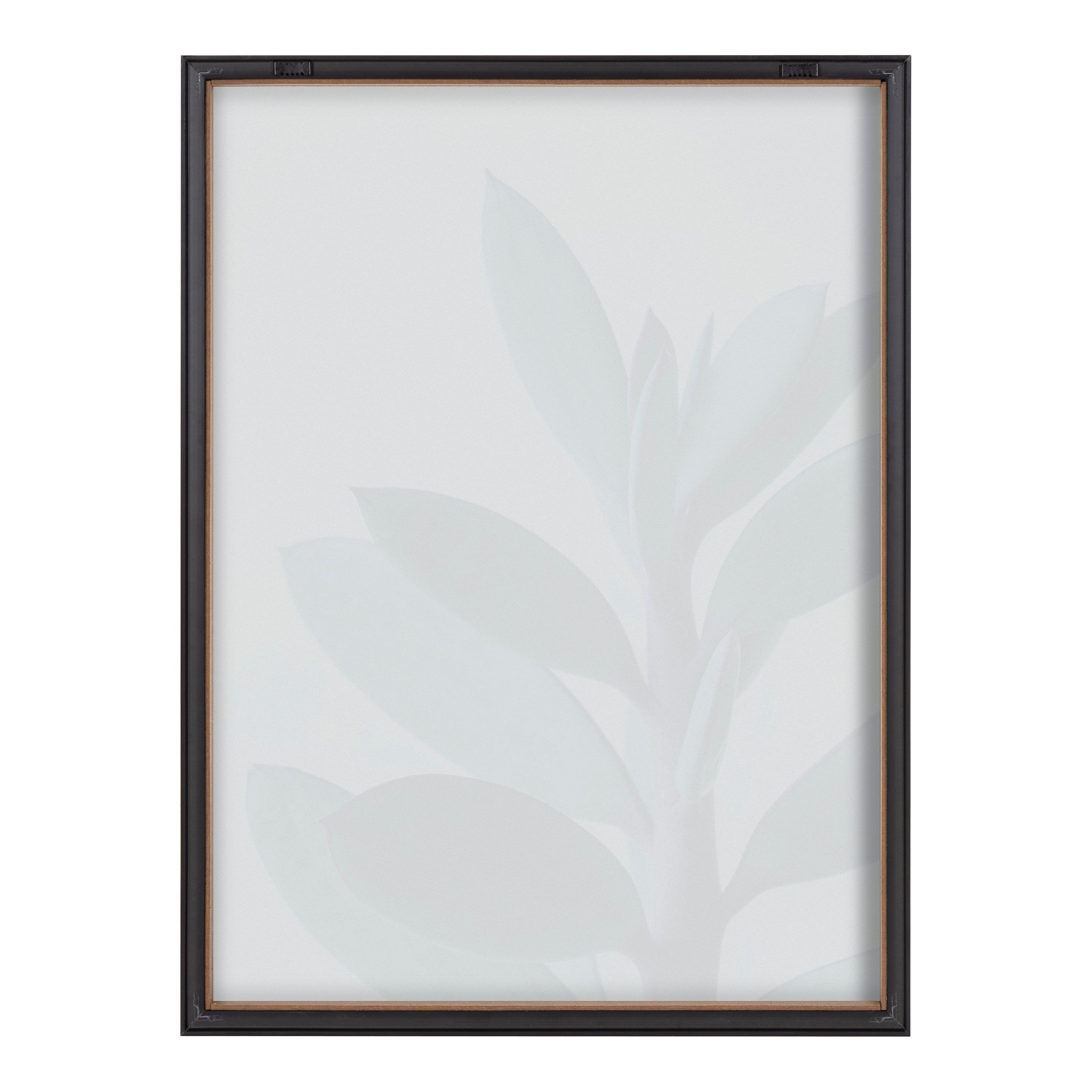 Blake Senecio 1 Framed Printed Glass by Emiko and Mark Franzen of F2Images