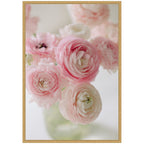 Sylvie Delicate Pink Ranunculus Flower Bouquet Framed Canvas by Kristy Campbell