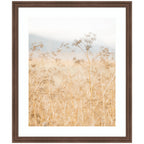 Framed Art Wild Fennel by Crystal Lynn Collins