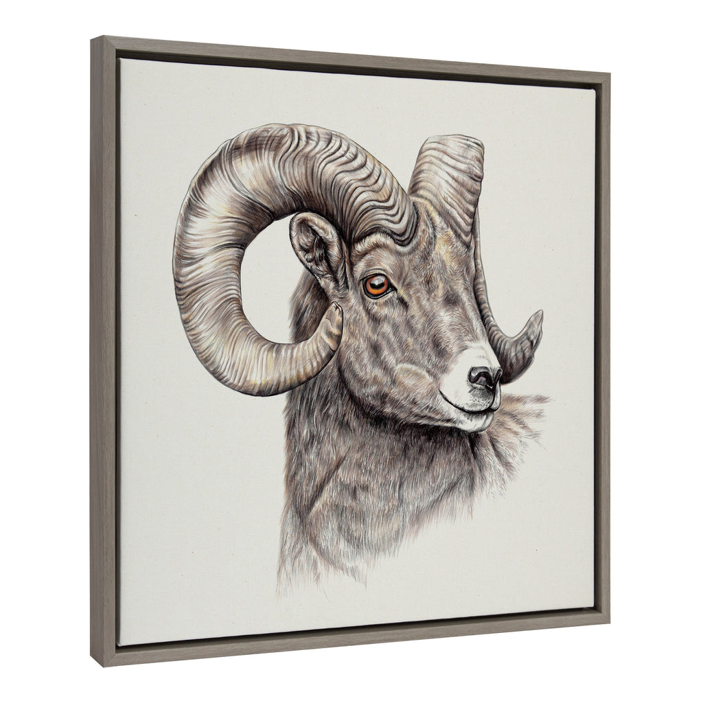 Sylvie Ram Framed Canvas by Ron Dunn