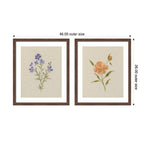 AQ Simple Blooms 2 Piece Framed Wall Art Print Set by Annie Quigley