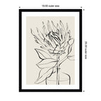 Protea Sketch No. 1 by Sara Berrenson Framed Wall Art Print