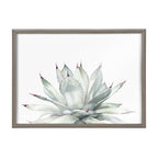 Blake Parrys Agave Framed Printed Glass by Emily Marie Watercolors