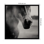Horse Like Velvet by Laura Evans Framed Wall Art Print