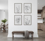 Sylvie Neutral Botanical 3 and 4 Soft White Framed Canvas by The Creative Bunch Studio
