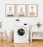 Sylvie Fold Alpaca Framed Canvas by Amy Peterson Art Studio