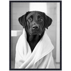 Sylvie Black Lab Bathroom Art Towel Robe Black and White Framed Canvas by The Creative Bunch Studio