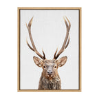 Sylvie The Red Deer Color Framed Canvas by Simon Te of Tai Prints