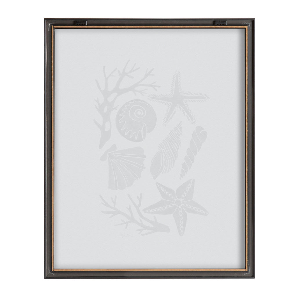 Blake Seashells Black Framed Printed Glass by Cat Coquillette