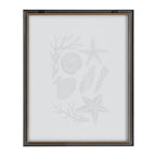 Blake Seashells Black Framed Printed Glass by Cat Coquillette