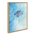 Sylvie Stingray Framed Canvas by Julie Maida