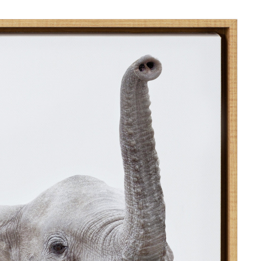 Sylvie Safari Animal Framed Canvas Art Set by Amy Peterson