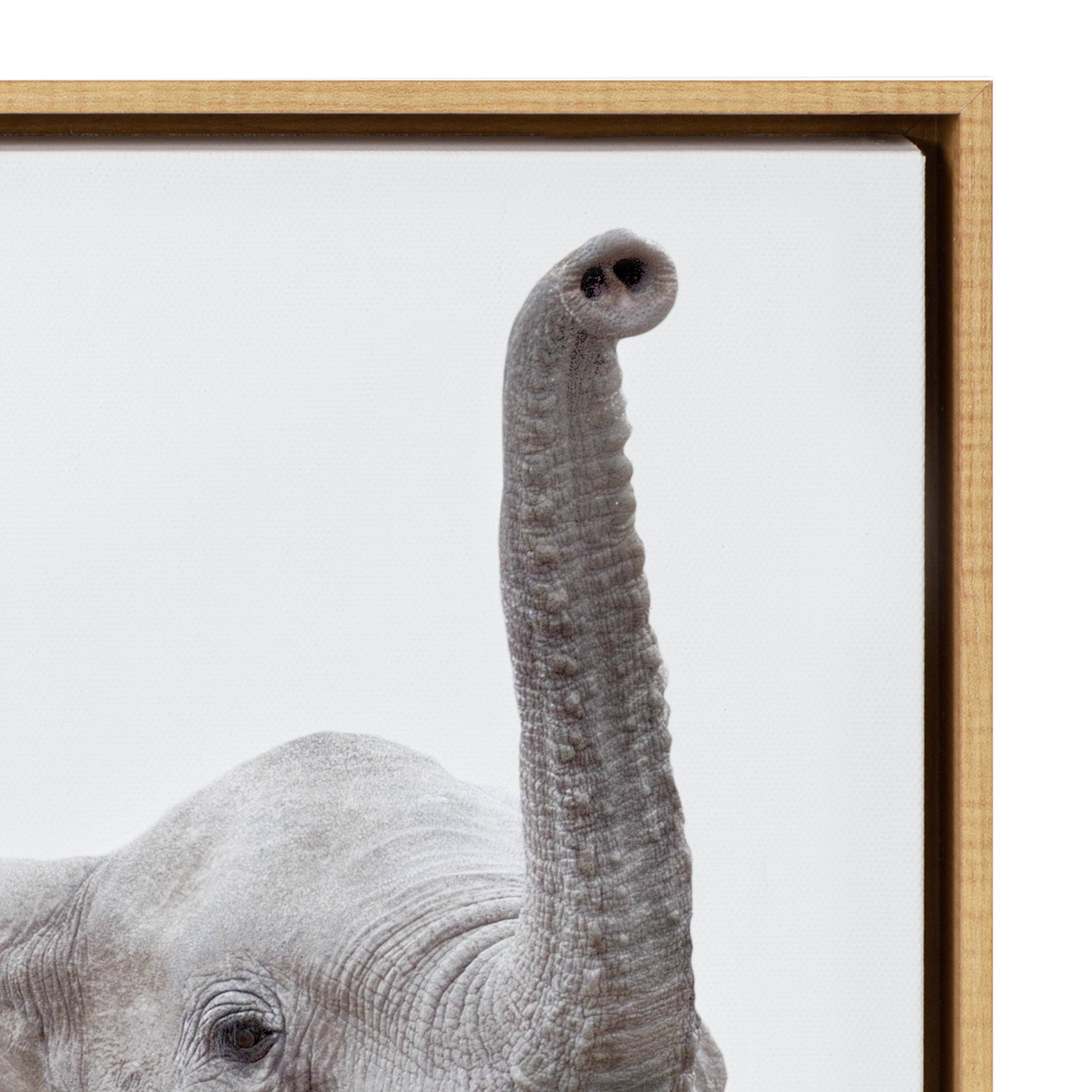 Sylvie Safari Animal Framed Canvas Art Set by Amy Peterson