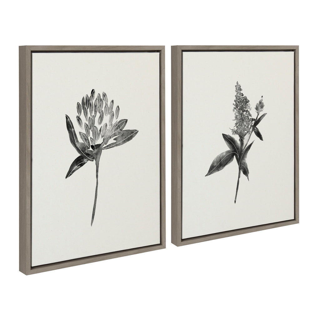 Sylvie Vintage Botanical 1 and 2 Framed Canvas by Teju Reval of SnazzyHues