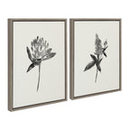 Sylvie Vintage Botanical 1 and 2 Framed Canvas by Teju Reval of SnazzyHues