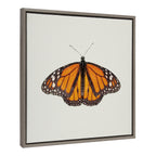 Sylvie Monarch Butterfly Framed Canvas by Robert Cadloff of Bomobob